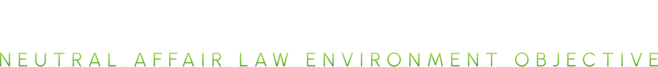 naleogroup.com